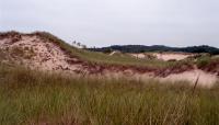 Saugatuck Dunes, Holland, MI