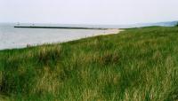 Saugatuck Dunes, Holland, MI