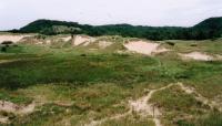 Saugatuck Dunes, Holland, MI