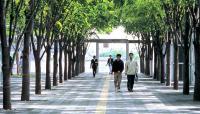 Saitama-Shintoshin Station "Sky Forest" Plaza, Saitama-Ken, Japan