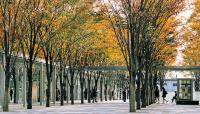 Saitama-Shintoshin Station "Sky Forest" Plaza, Saitama-Ken, Japan