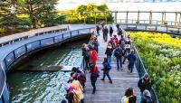 South Cove, Battery Park City, New York, NY