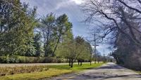 Belle Meade Boulevard, Nashville, TN