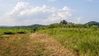 Bells Bend Park, Nashville, TN