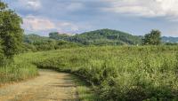 Bells Bend Park, Nashville, TN