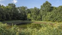 Bells Bend Park, Nashville, TN