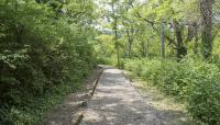 Fort Negley, Nashville, TN