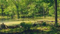 Radnor Lake, Nashville, TN