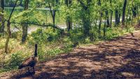 Radnor Lake, Nashville, TN