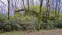 Stones River Greenway, Nashville, TN