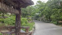 Brackenridge Park Japanese Tea Garden, San Antonio, TX