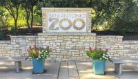San Antonio Zoo, San Antonio, TX