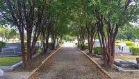 Eastside Cemeteries, San Antonio, TX