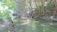 Espada Acequia, San Antonio, TX