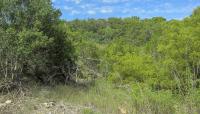 Government Canyon State Natural Area, San Antonio, TX