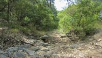 Government Canyon State Natural Area, San Antonio, TX