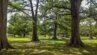 San Pedro Springs Park, San Antonio, TX