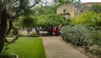 The Alamo, San Antonio, TX