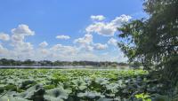 Woodlawn Lake Park, San Antonio, TX