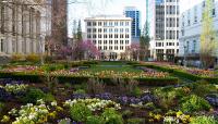 Temple Square, Salt Lake City, UT