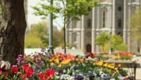 Temple Square, Salt Lake City, UT