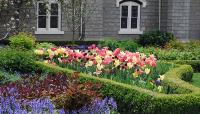 Temple Square, Salt Lake City, UT