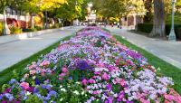 Temple Square, Salt Lake City, UT