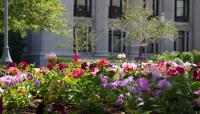 Temple Square, Salt Lake City, UT