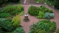 The-Benjamin-Rush-Medicinal-Plant-Garden-1-courtesy-of-The-College-of-Physicians-of-Philadelphia.jpg