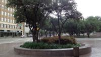 The Texas Sculpture, Fort Worth, TX