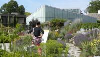 Photo courtesy Toronto Botanical Garden:: ::The Cultural Landscape Foundation