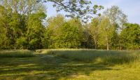 Totopotomoy Creek Battlefield, Mechanicsville, VA