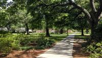 Tulane University, New Orleans, LA