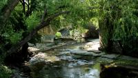 Turtle Creek Parkway, Dallas, TX