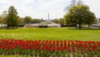 U.S. Capitol Grounds, Washington D.C.
