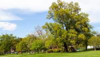 U.S. Capitol Grounds, Washington D.C.