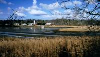 Udall's Park Preserve, Little Neck, NY