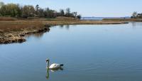 Udall's Park Preserve, Little Neck, NY