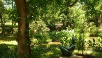 Photo courtesy Umlauf Sculpture Garden & Museum:: ::The Cultural Landscape Foundation