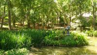 Photo courtesy Umlauf Sculpture Garden & Museum:: ::The Cultural Landscape Foundation