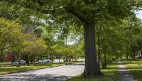 Brookland Parkway, Richmond, VA