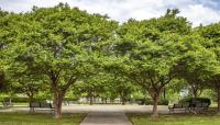 Chimborazo Park, Richmond, VA