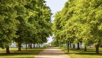 Chimborazo Park, Richmond, VA