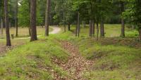 Cold Harbor Battlefield, Richmond, VA