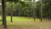 Cold Harbor Battlefield, Richmond, VA