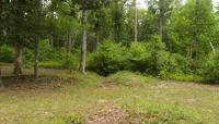 Cold Harbor Battlefield, Richmond, VA