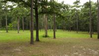 Cold Harbor Battlefield, Richmond, VA