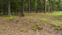 Cold Harbor Battlefield, Richmond, VA