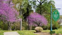 Joseph Bryan Park, Richmond, VA