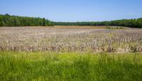 Malvern Hill, Henrico, VA